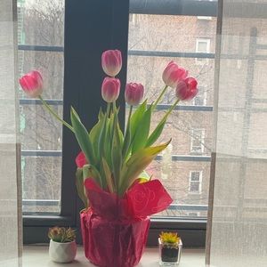 Meet your Posher, Nancy